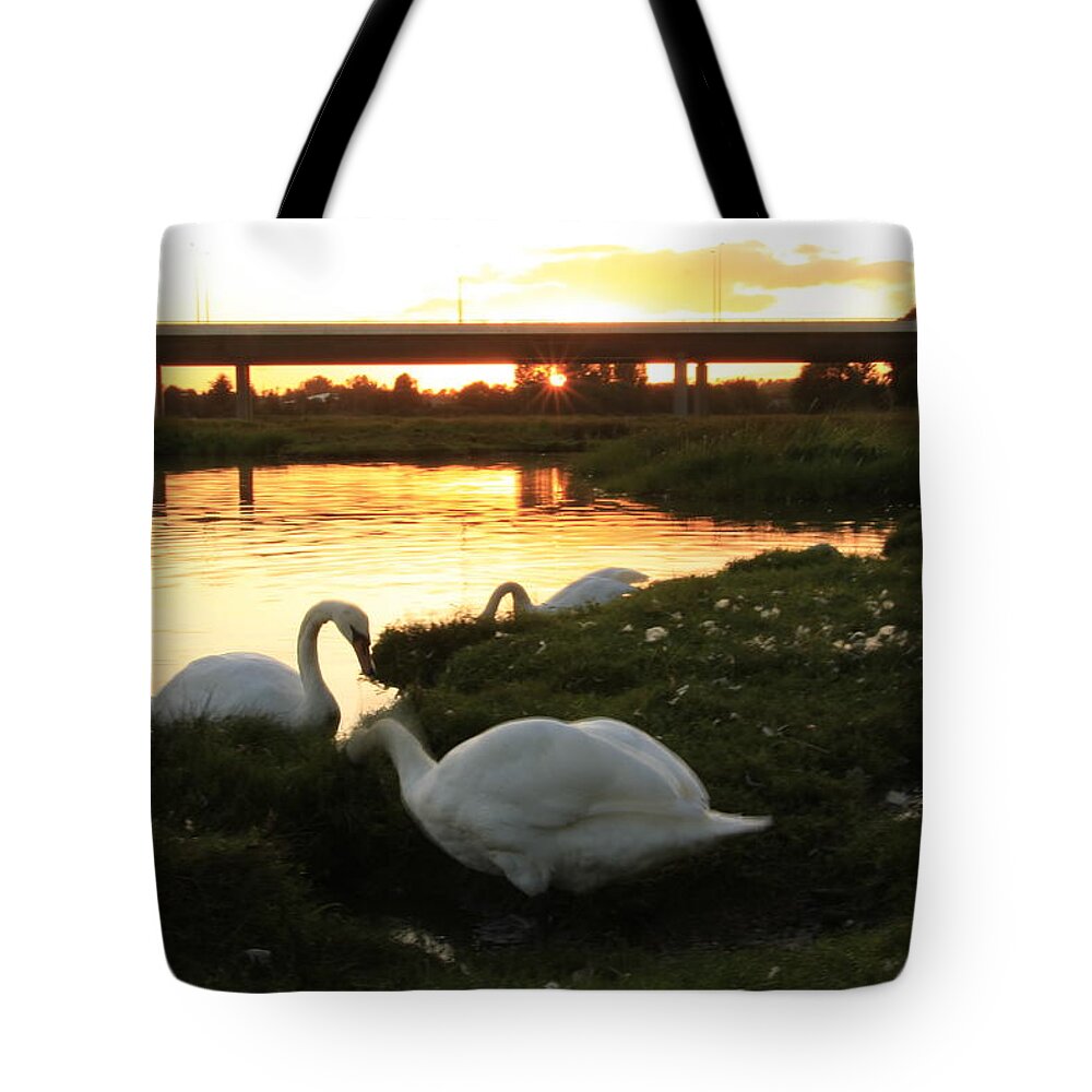 Sunset Tote Bag featuring the photograph 09.09.09....Under the Bridge by Martina Fagan
