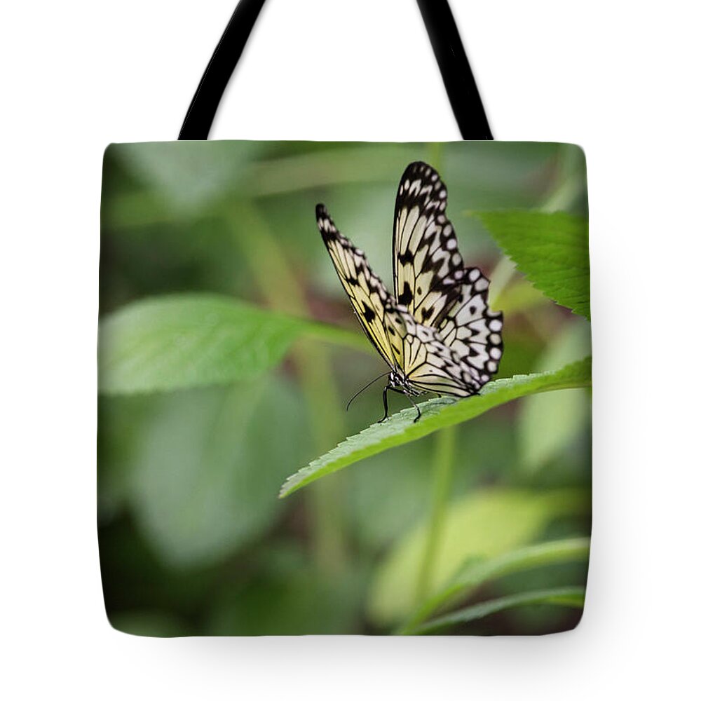 Butterfly Tote Bag featuring the photograph 1383 by Teresa Blanton