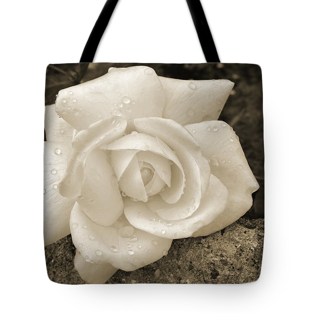 Roses Tote Bag featuring the photograph After The Rain #1 by Terence Davis