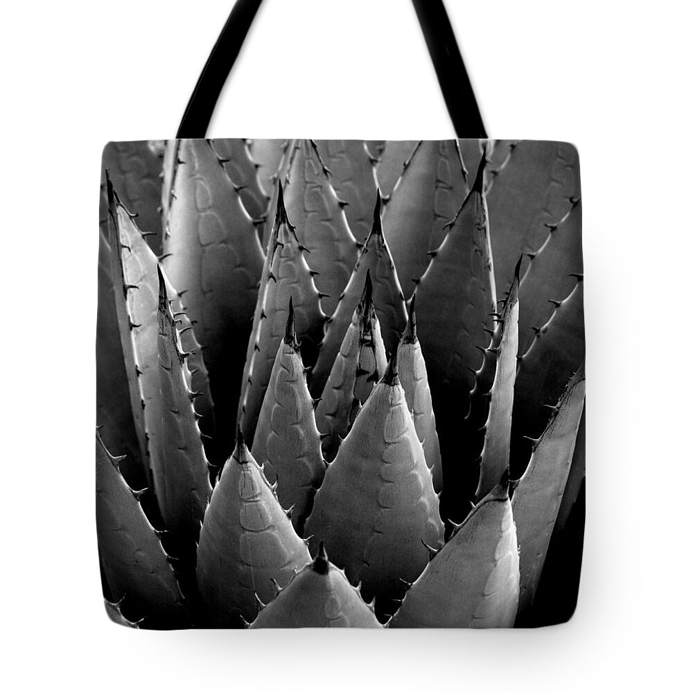 Foliage Tote Bag featuring the photograph Agave Plant #1 by Nathan Abbott