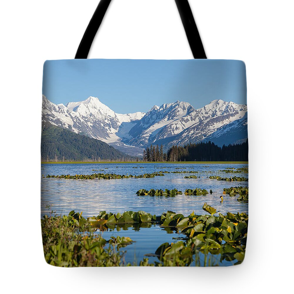 Alaska Tote Bag featuring the photograph Alaska Coastal Landscape #3 by Scott Slone
