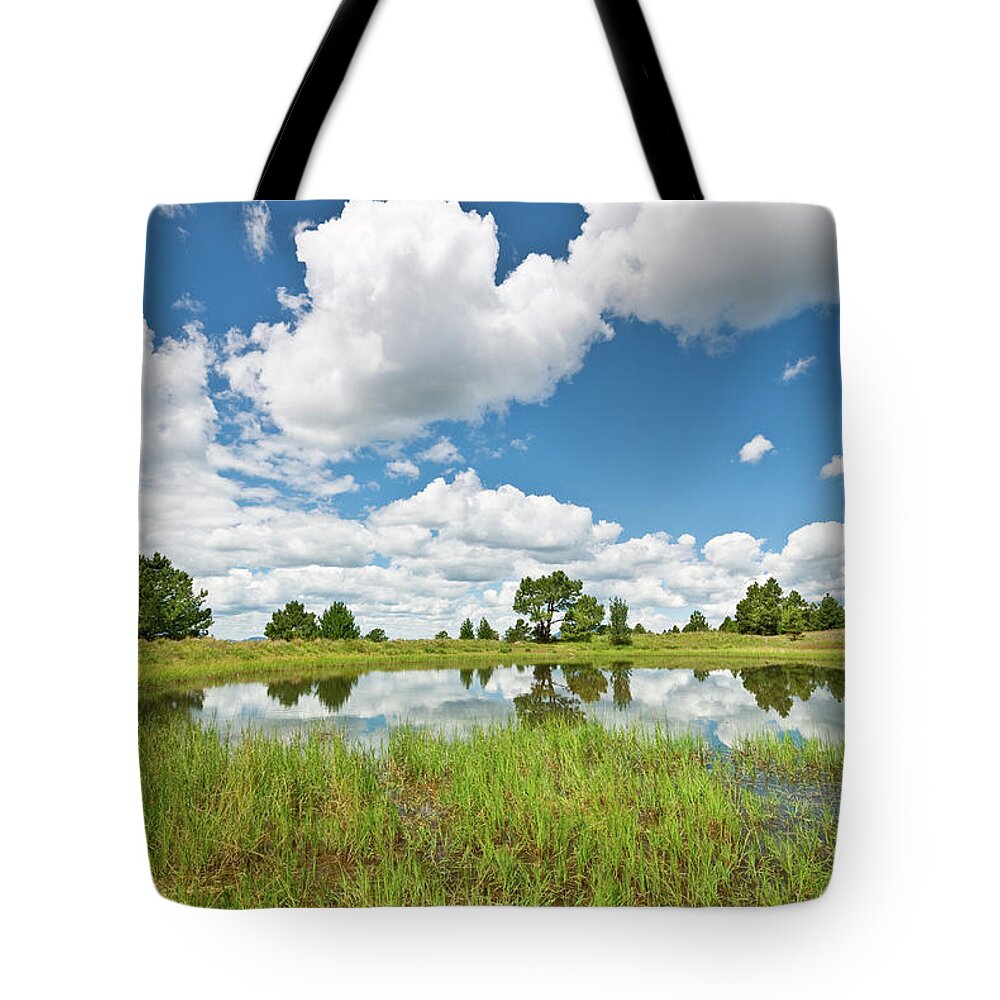 Arizona Tote Bag featuring the photograph Alfa Fia Tank #1 by Jeff Goulden