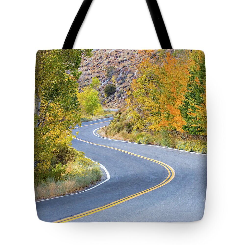 Eastern Sierra Tote Bag featuring the photograph Along The June Lake Loop #1 by Mimi Ditchie