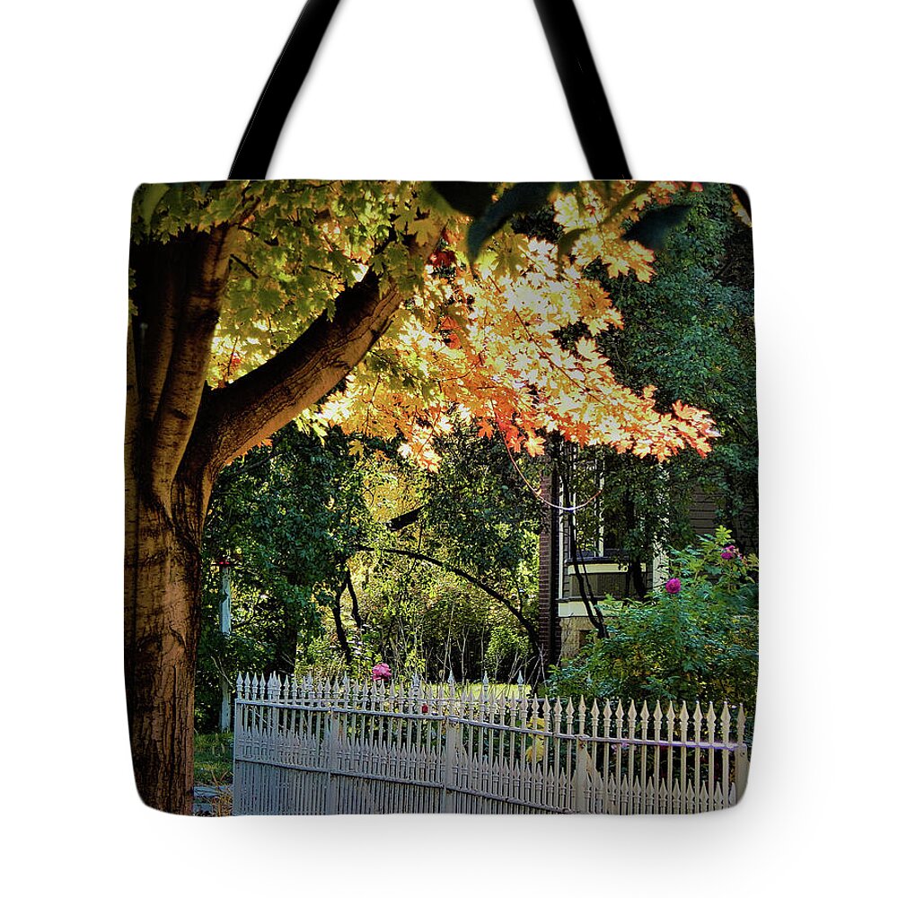 Autumn Tote Bag featuring the photograph Along the Way #1 by Wild Thing