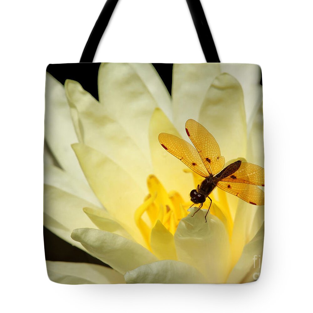 Dragonfly Tote Bag featuring the photograph Amber Dragonfly Dancer 2 by Sabrina L Ryan