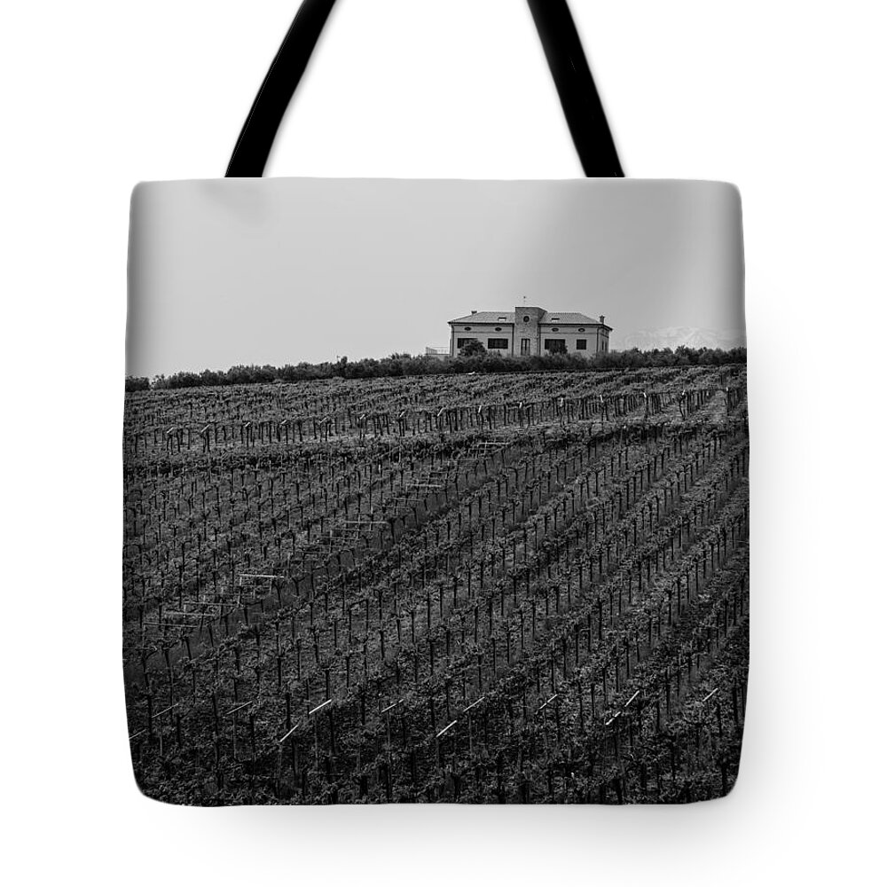 Wineyard Tote Bag featuring the photograph An italian farm in Abruzzo #1 by AM FineArtPrints