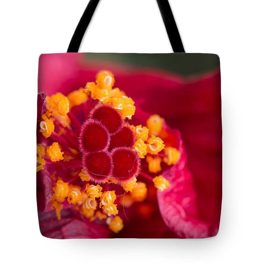 Hibiscus Tote Bag featuring the photograph Another Opening Another Show #1 by Cathy Donohoue
