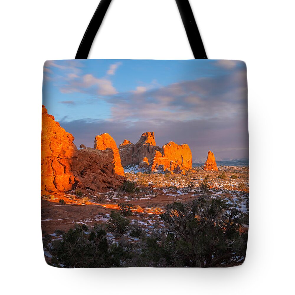 Landscape Tote Bag featuring the photograph Arid by Jonathan Nguyen