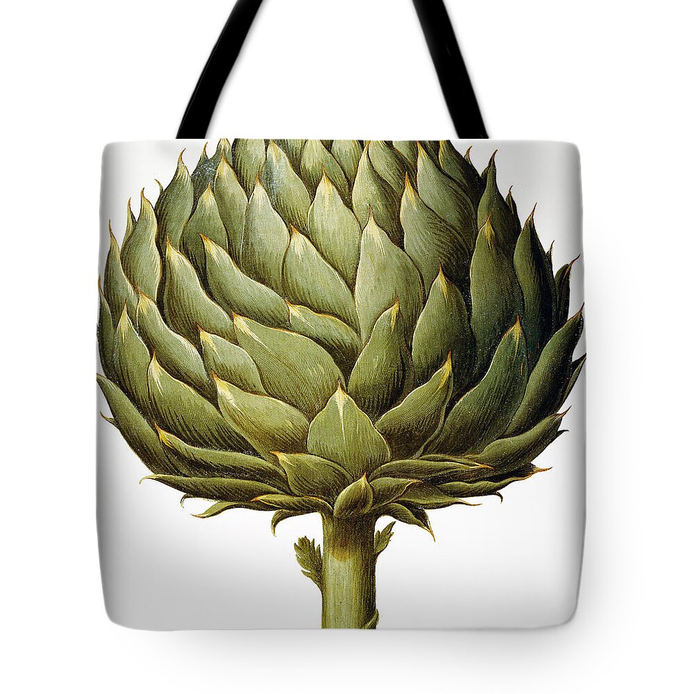1613 Tote Bag featuring the drawing Artichoke, 1613 #1 by Granger