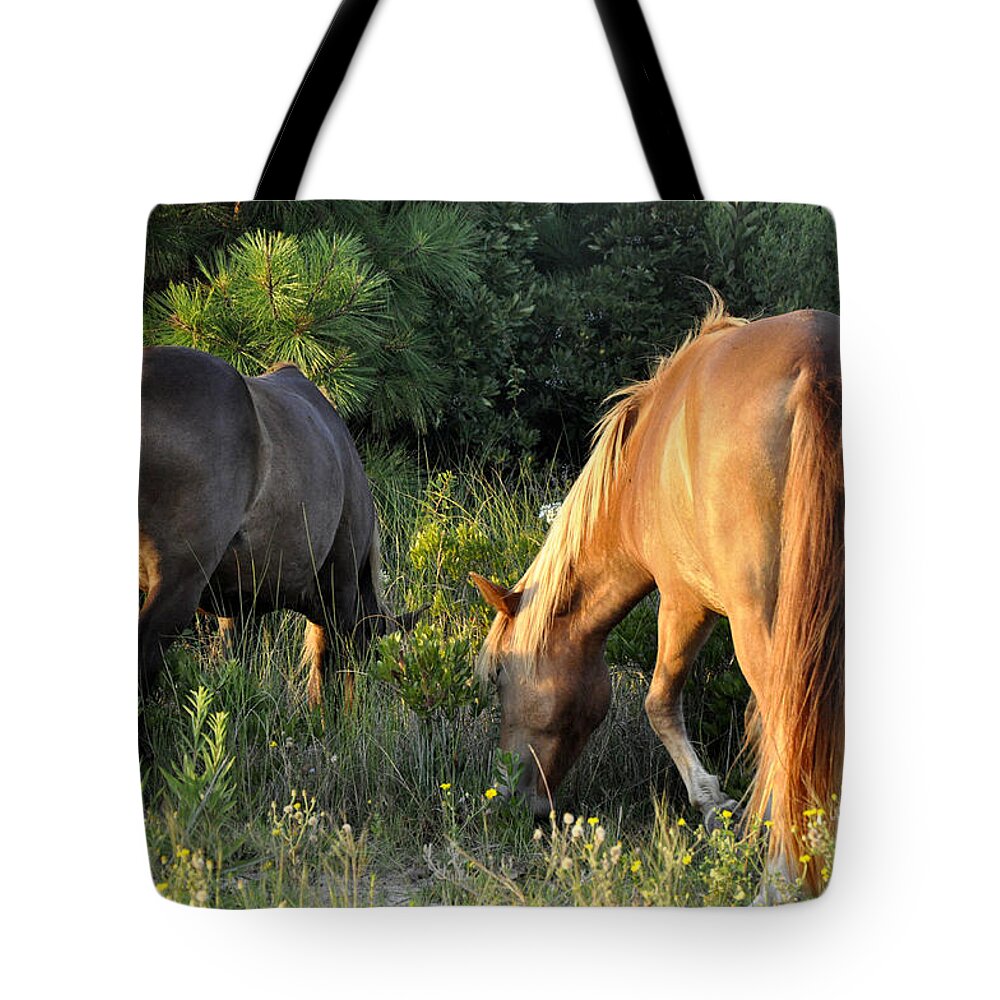 Horses Tote Bag featuring the photograph Asateague Horses 6 #1 by Andrew Dinh