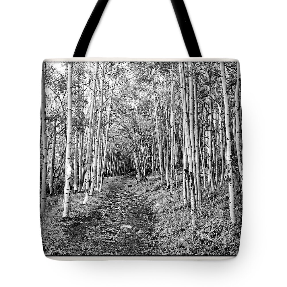 Aspen Tote Bag featuring the photograph Aspen Forest by Farol Tomson
