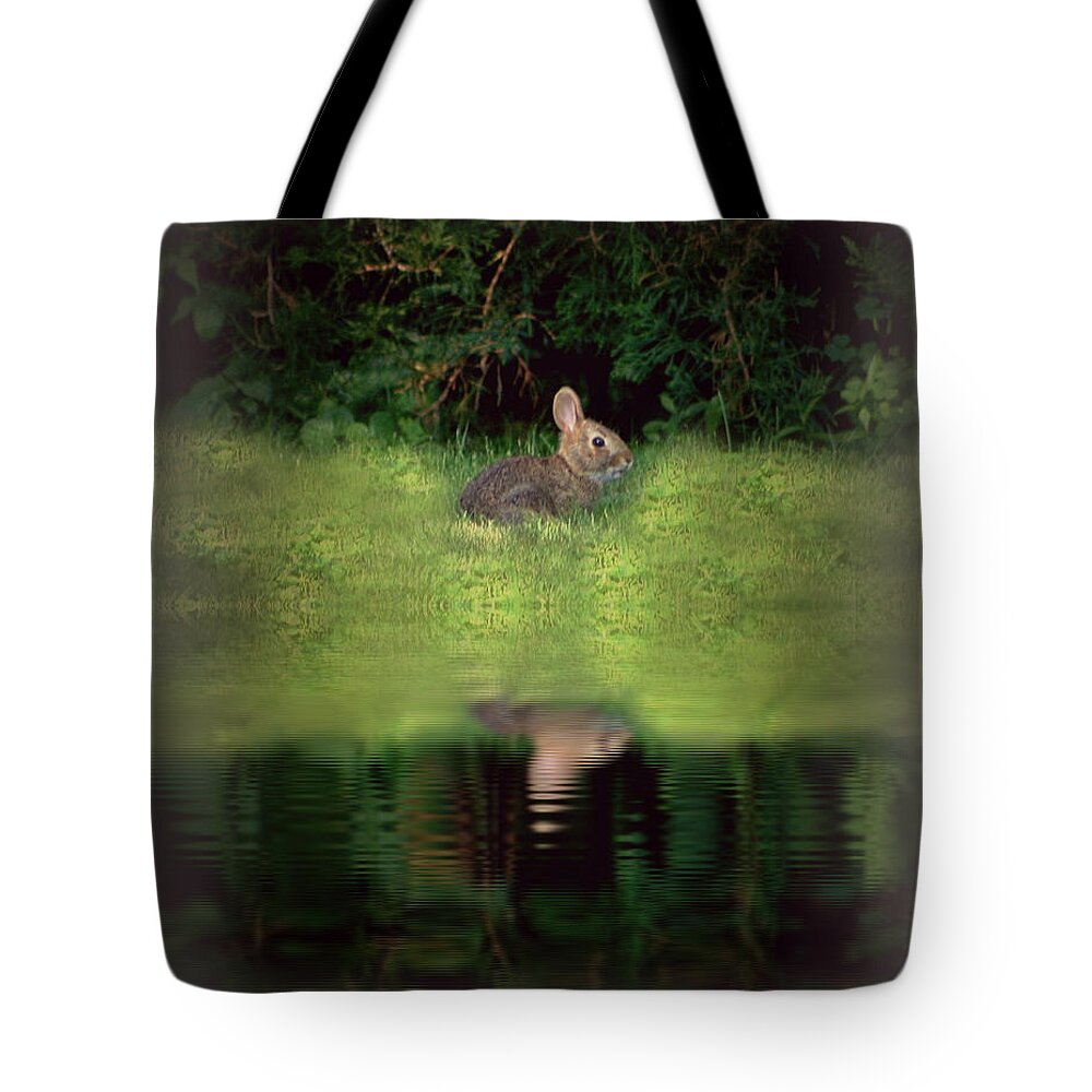 Rabbit Tote Bag featuring the photograph Dusk Bunny by Barbara S Nickerson