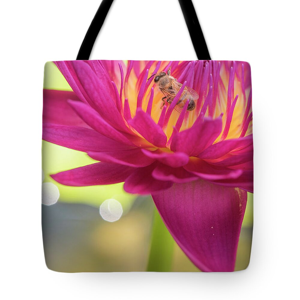 Lily Tote Bag featuring the photograph Attraction. by Usha Peddamatham