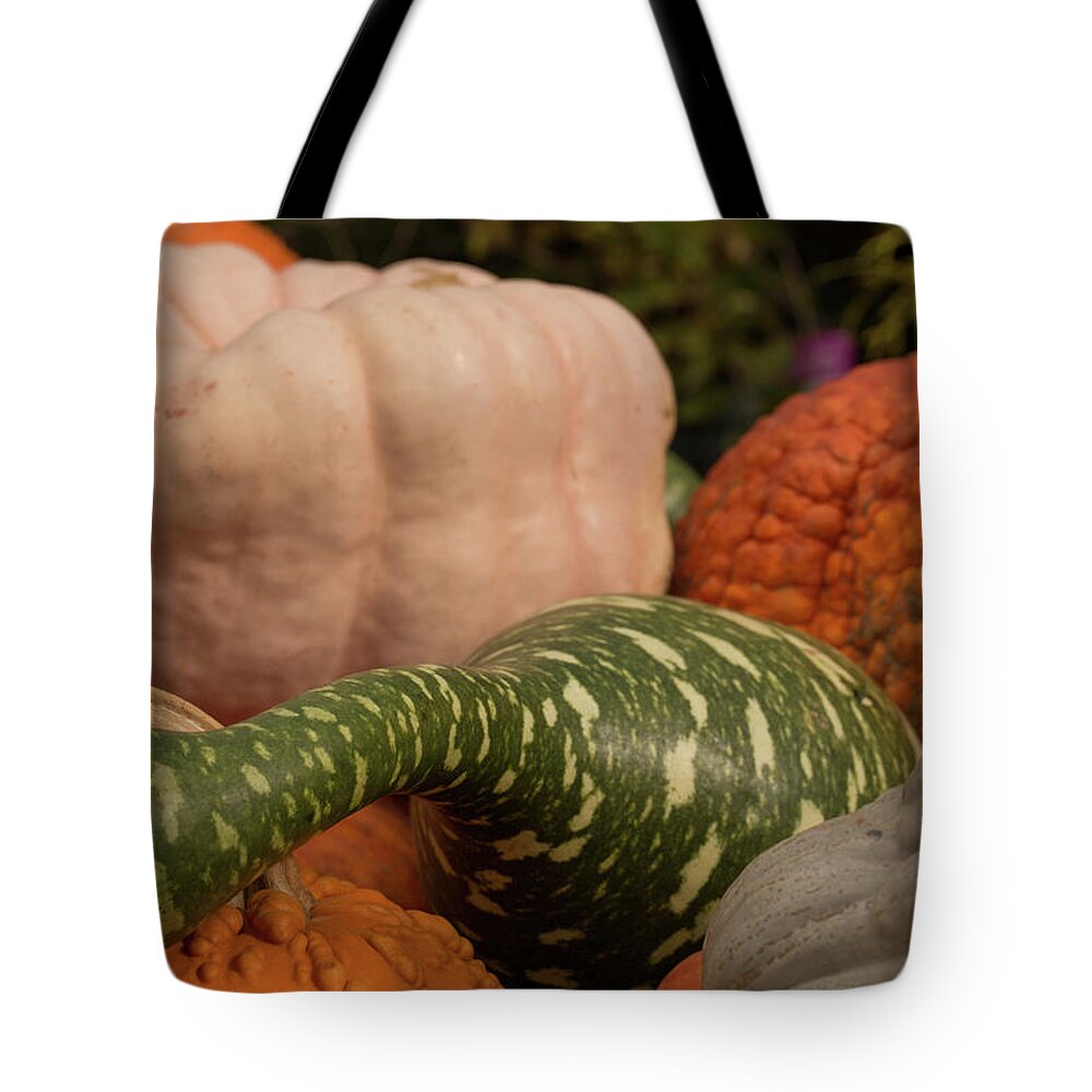 American Tote Bag featuring the photograph Autumn Harvest by Kyle Lee