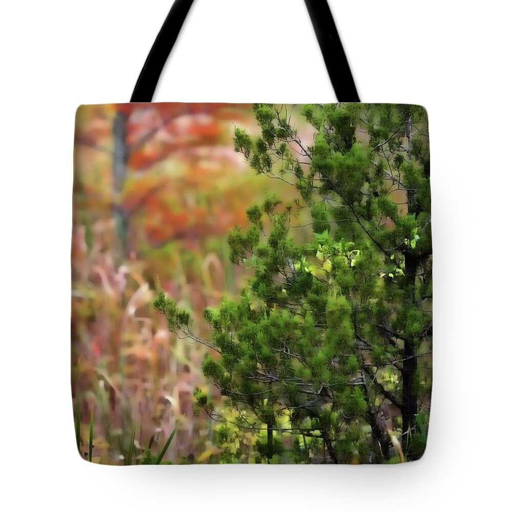  Tote Bag featuring the photograph Autumn Colors 20 #1 by Scott Fracasso