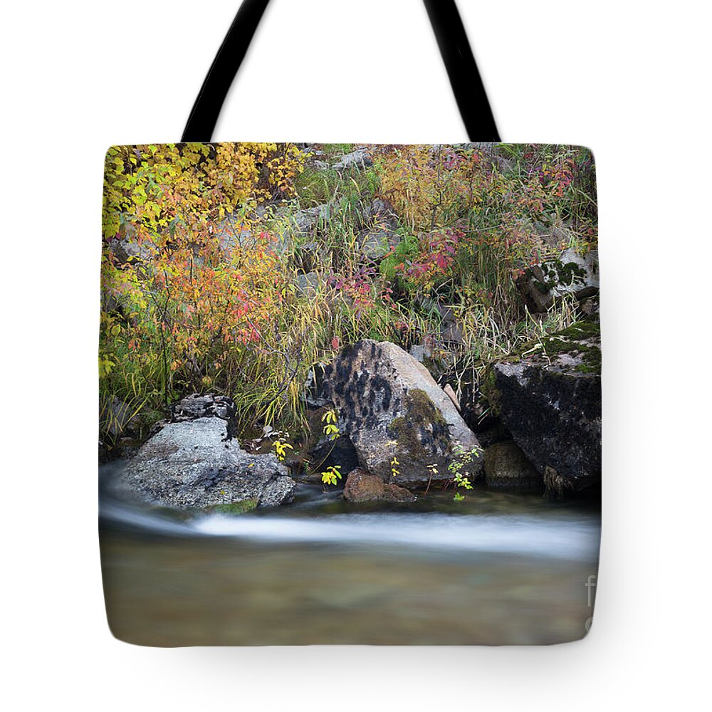 Coeur D'alene National Forest Tote Bag featuring the photograph Autumn Flow #1 by Idaho Scenic Images Linda Lantzy