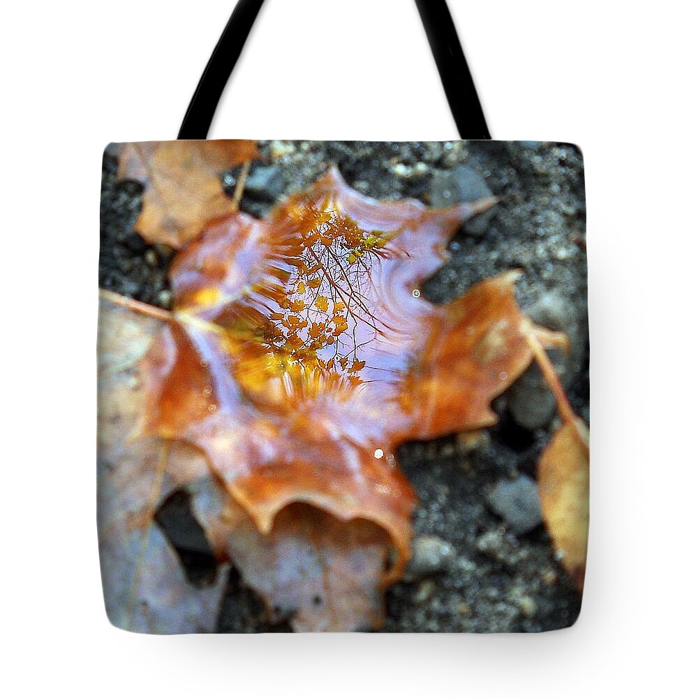 Leaves Tote Bag featuring the photograph Autumn Leaves #1 by Wolfgang Schweizer