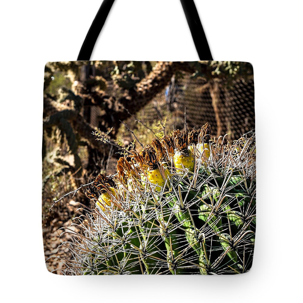Arid Tote Bag featuring the photograph Barrel Cactus #1 by Lawrence Burry