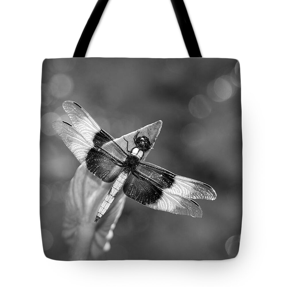 Dragonfly Tote Bag featuring the photograph Basking in the Light #1 by Bill Morgenstern