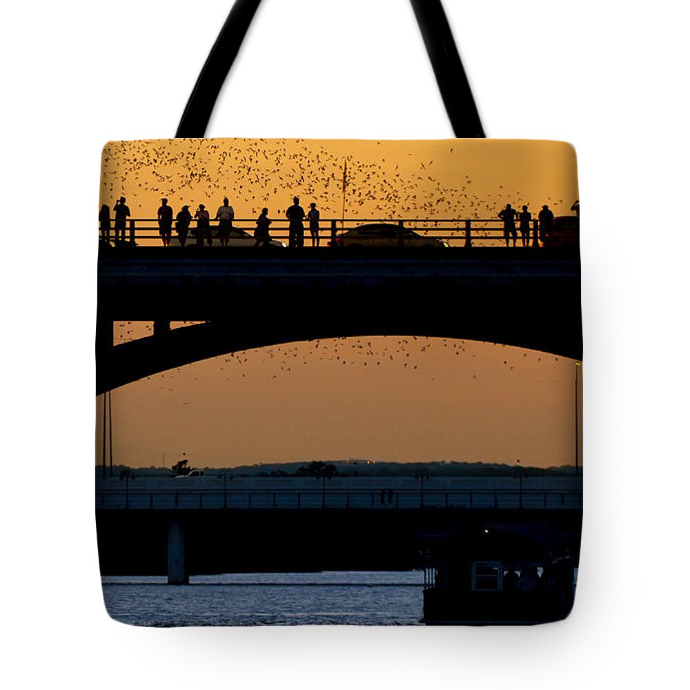 Austin Tote Bag featuring the photograph Bat Flight in Austin Texas #1 by Anthony Totah
