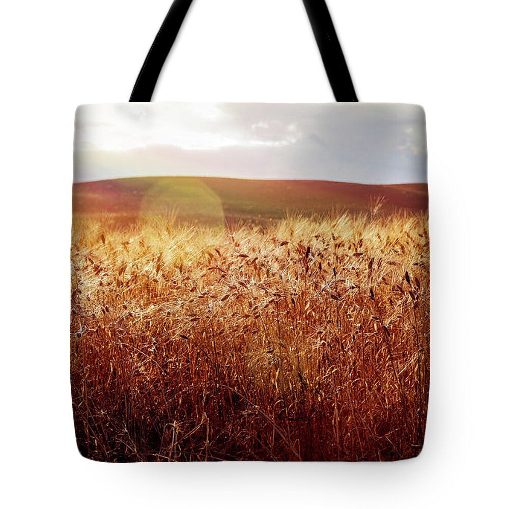 Europe Tote Bag featuring the photograph Beautiful wheat field by Anna Om