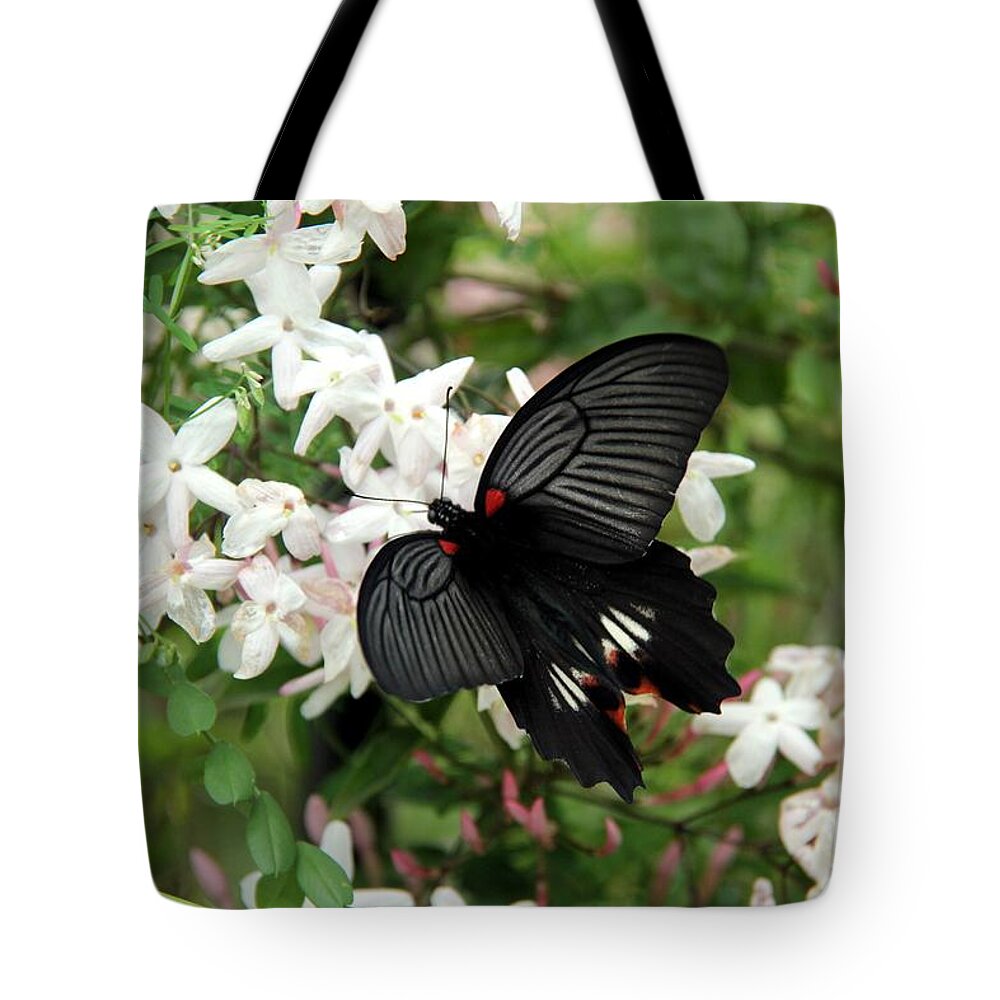 Butterfly Tote Bag featuring the photograph Beautiful wings #1 by Yumi Johnson