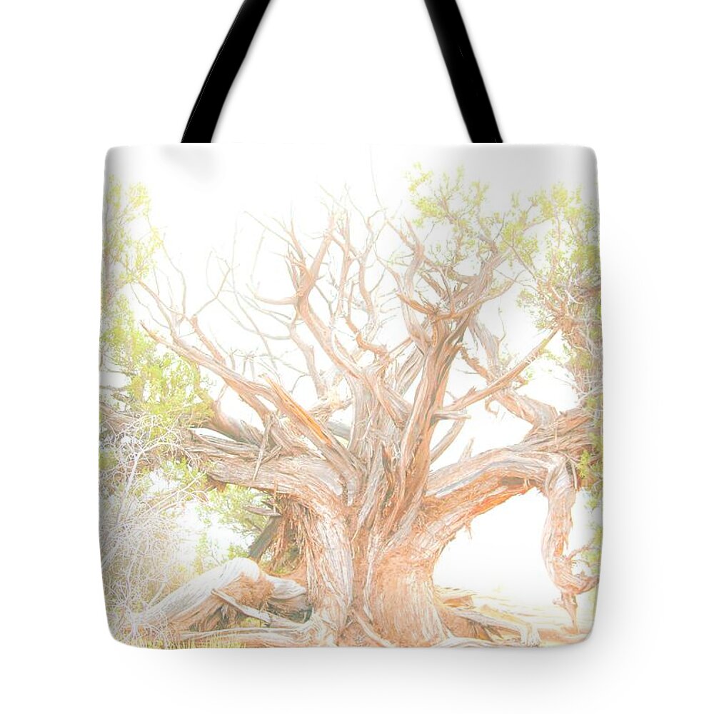 Arches National Park Tote Bag featuring the photograph Been Around by Merle Grenz