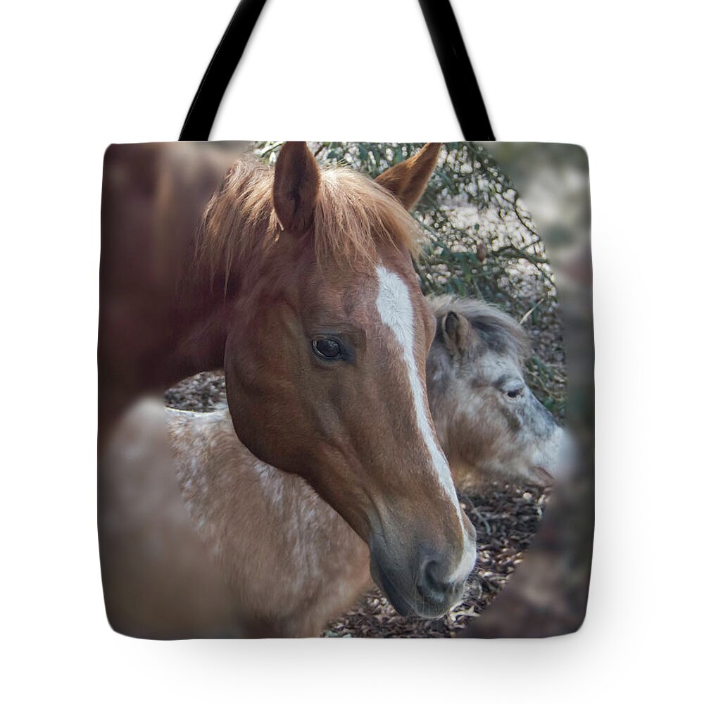 Friends Tote Bag featuring the photograph Best Friends #1 by Judy Hall-Folde