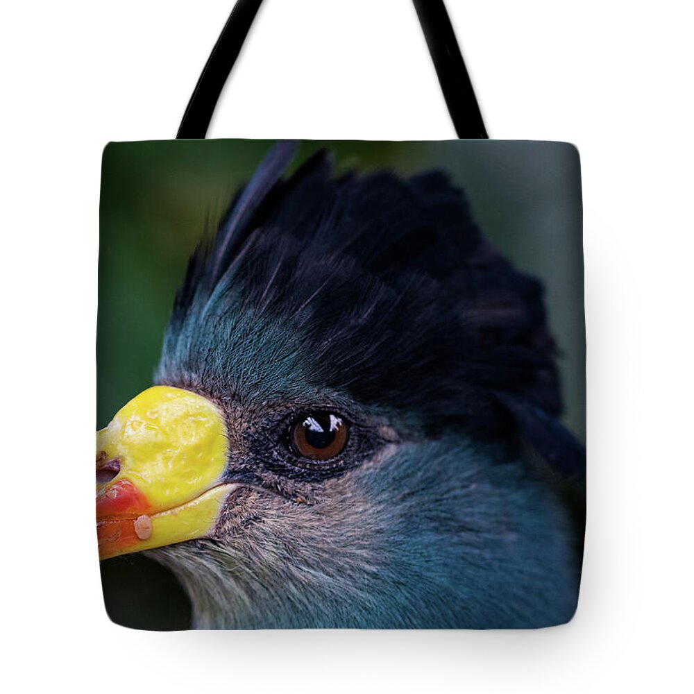 Jay Stockhaus Tote Bag featuring the photograph Bird Face #1 by Jay Stockhaus