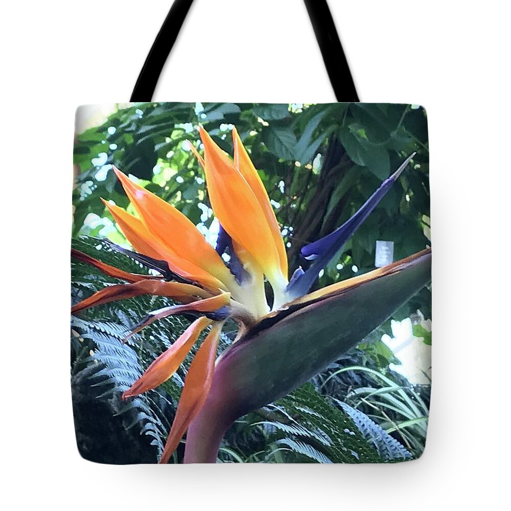 Flowers Tote Bag featuring the photograph Bird of Paradise #1 by Jean Wolfrum
