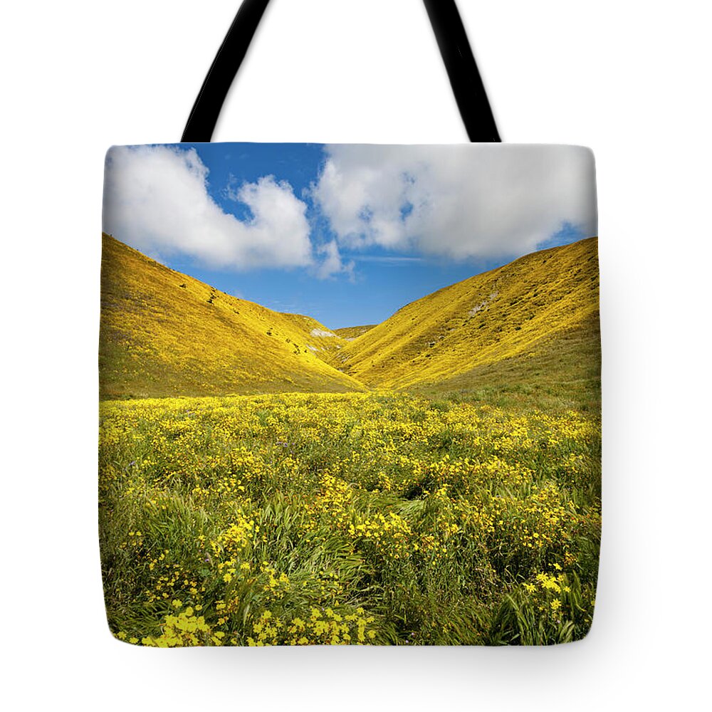Kern County Tote Bag featuring the photograph Bitterwater Valley Road Wildflowers #1 by Rick Pisio