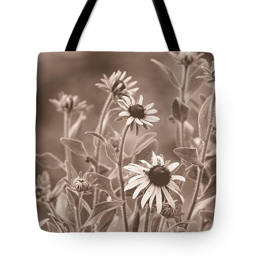 Black Eyed Susans Tote Bag featuring the photograph Black-Eyed Susans #1 by Mel Hensley