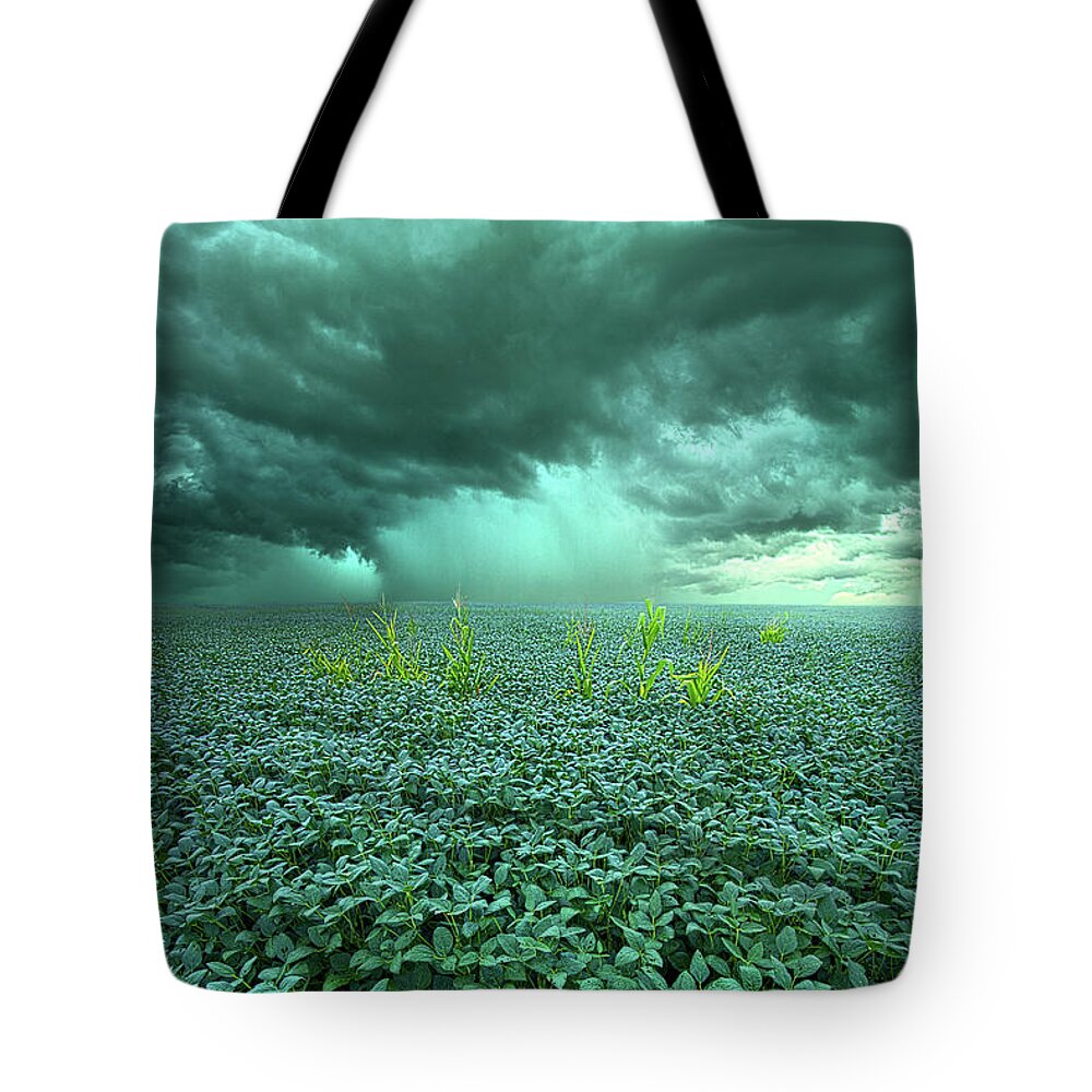 Summer Tote Bag featuring the photograph Blessings #1 by Phil Koch