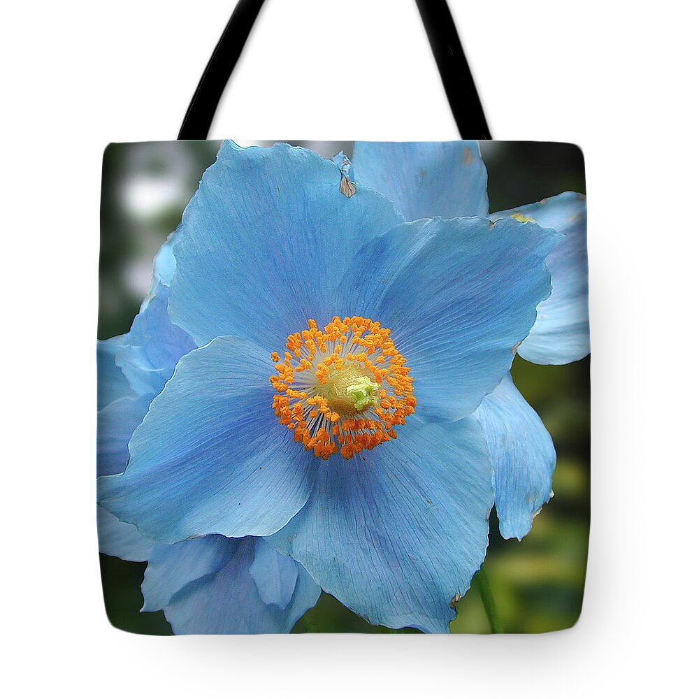 Blue Tote Bag featuring the photograph Blue Flower, Butchart Gardens, Victoria BC Canada by Michael Bessler