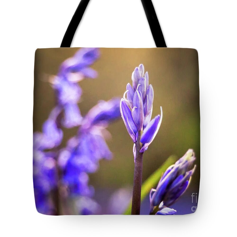 Mtphotography Tote Bag featuring the photograph Bluebells #1 by Mariusz Talarek