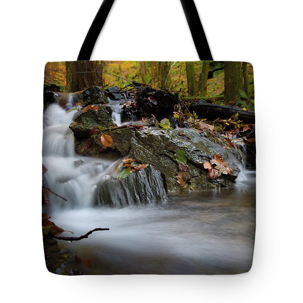 Nature Tote Bag featuring the photograph Bodetal, Harz #1 by Andreas Levi