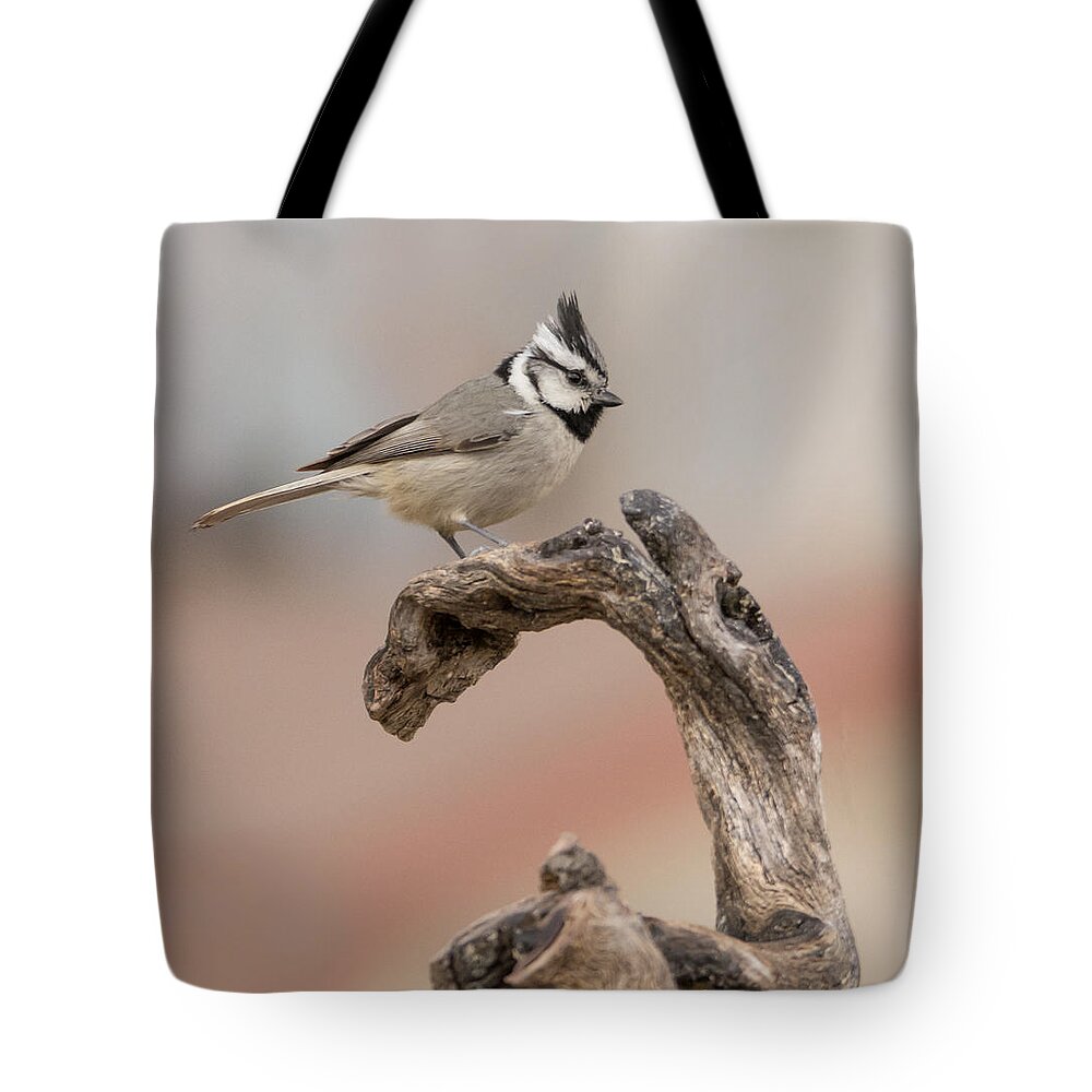 Bridled_titmouse Tote Bag featuring the photograph Bridled Titmouse #3 by Tam Ryan