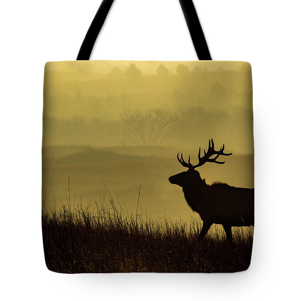Jay Stockhaus Tote Bag featuring the photograph Bull Elk #1 by Jay Stockhaus