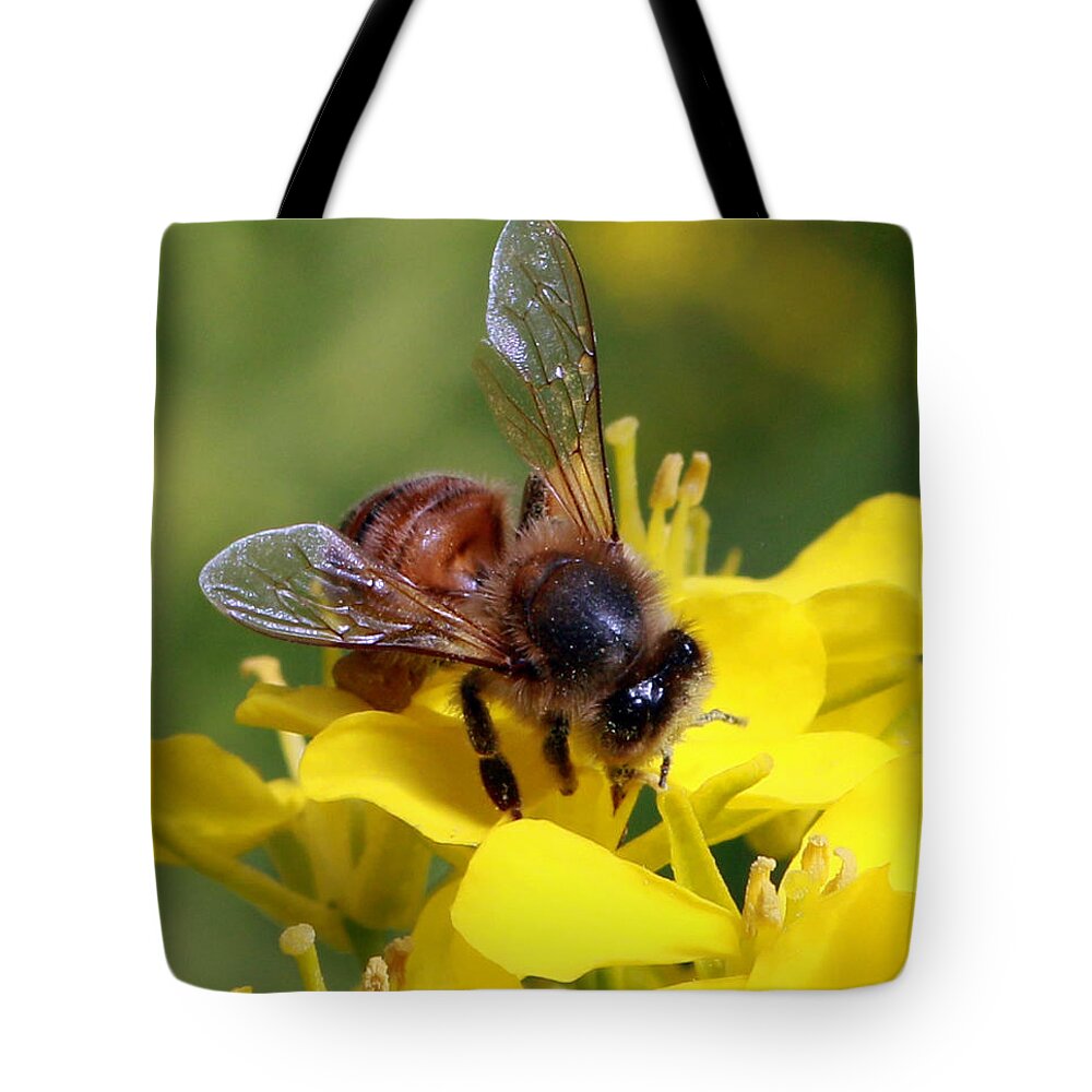 Dreamer By Design Photography Tote Bag featuring the photograph Busy Bee #1 by Kami McKeon