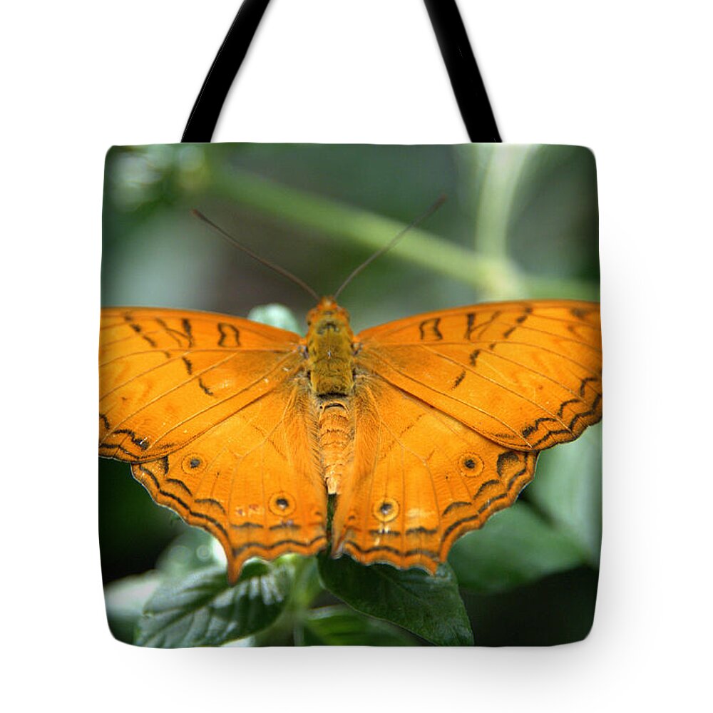 Butterfly Tote Bag featuring the photograph Butterfly by Jerry Cahill