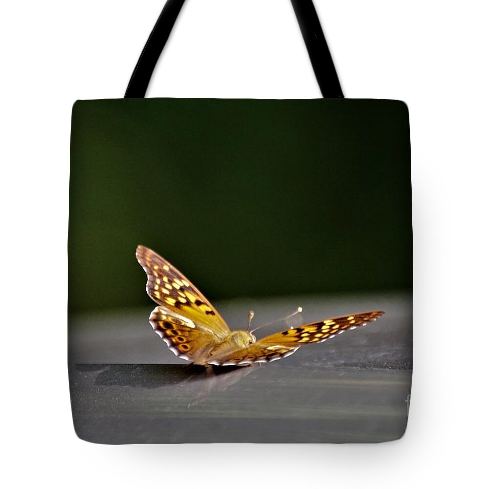 Butterflies Tote Bag featuring the photograph Butterfly on my car5 #1 by Merle Grenz