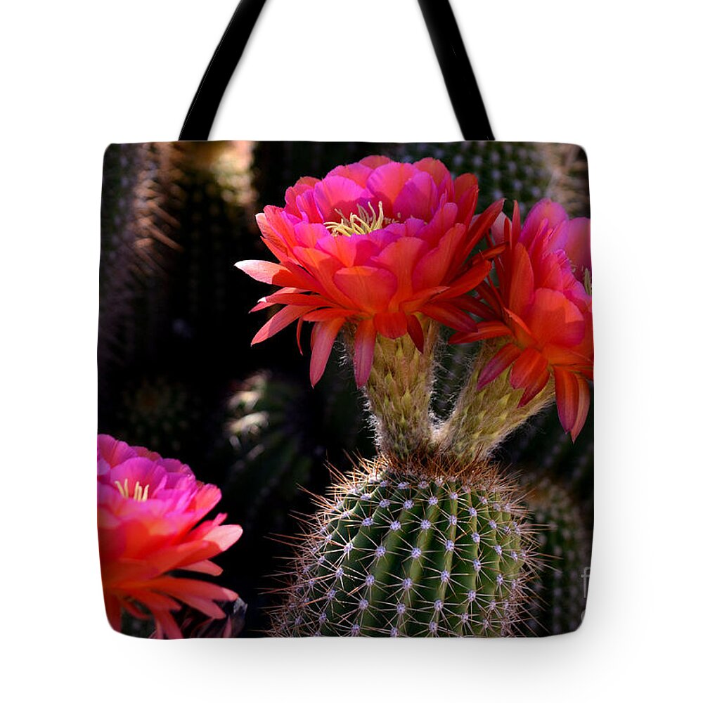 Red Tote Bag featuring the photograph Sonoran Spring by Deb Halloran
