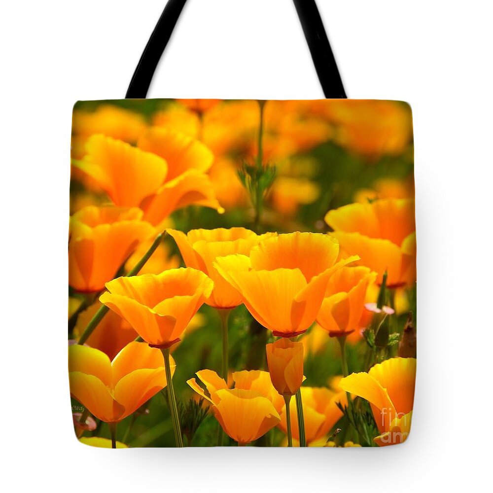 California Poppies Tote Bag featuring the photograph California Poppies #1 by Patrick Witz