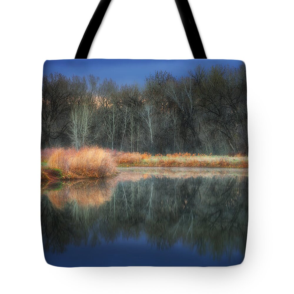 Trees Tote Bag featuring the photograph Calm Before the Storm #1 by Darren White