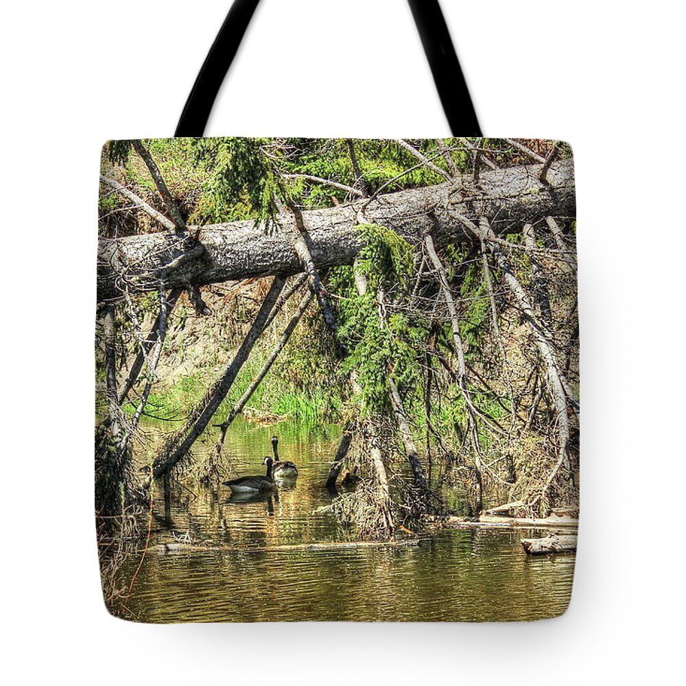 Geese Tote Bag featuring the photograph Canada Geese #1 by Jim Sauchyn