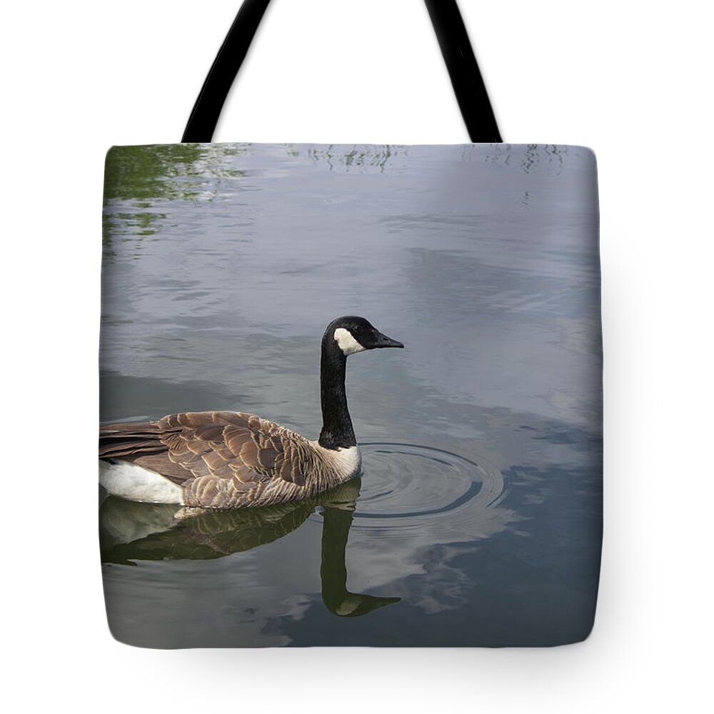 Canada Goose Tote Bag featuring the photograph Canada Goose #5 by Jean Evans