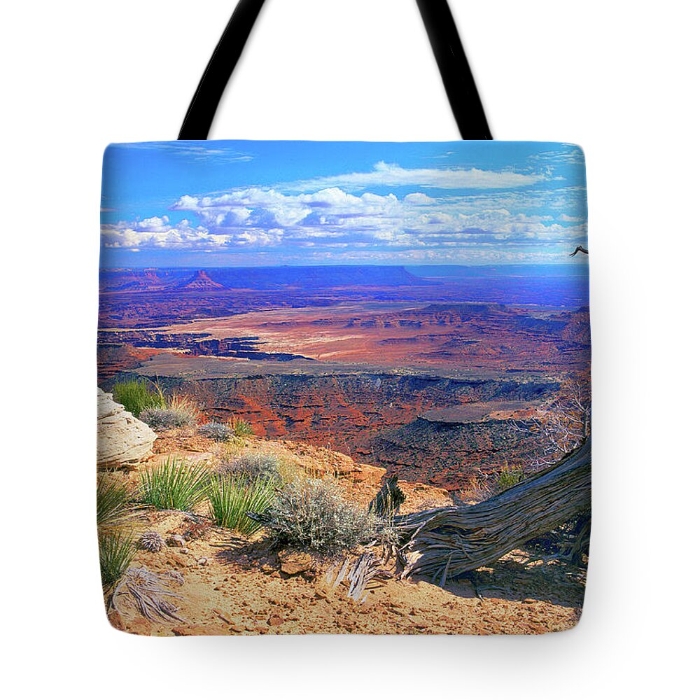 Utah Tote Bag featuring the photograph Canyonlands #1 by Frank Houck