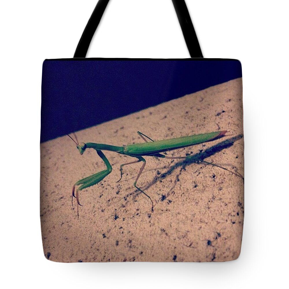 Cute Tote Bag featuring the photograph We Come in Peace by Noah Kaufman