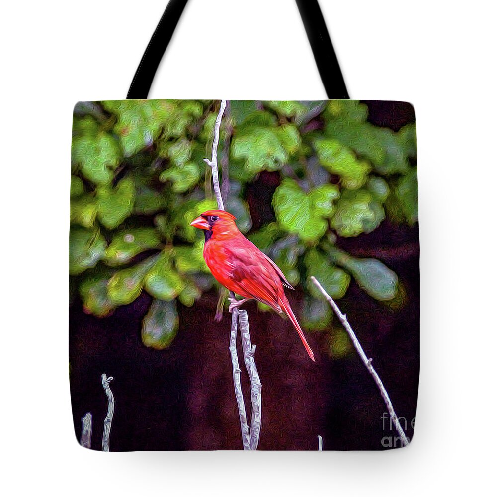 Nature Tote Bag featuring the painting Cardinal Twigging a Break by DB Hayes