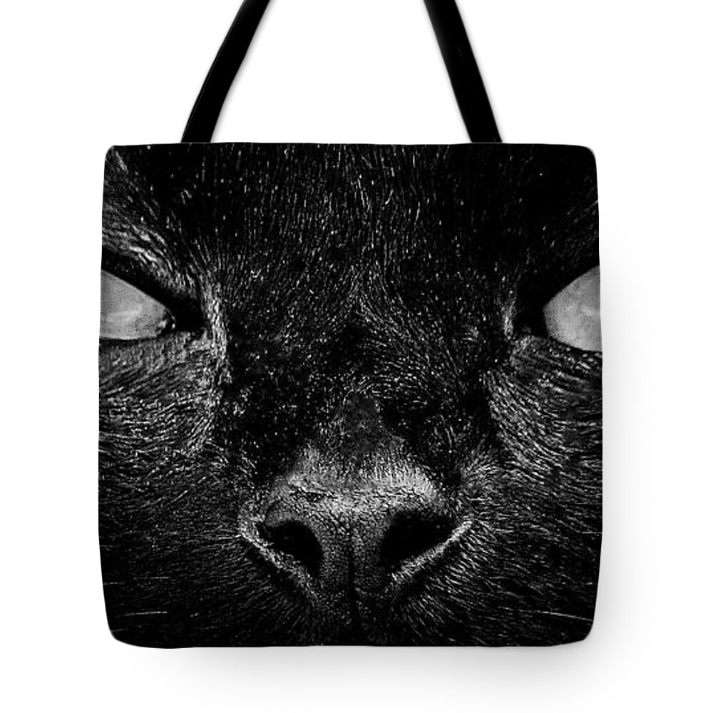 Cat Tote Bag featuring the photograph Cat's Eyes #1 by Terri Mills